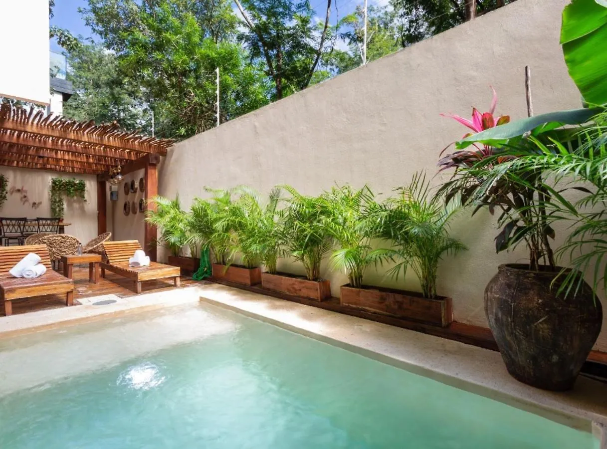 Luxury Three Bedroom Jungle Suite Private Pool Tl19 Tulum Apartment